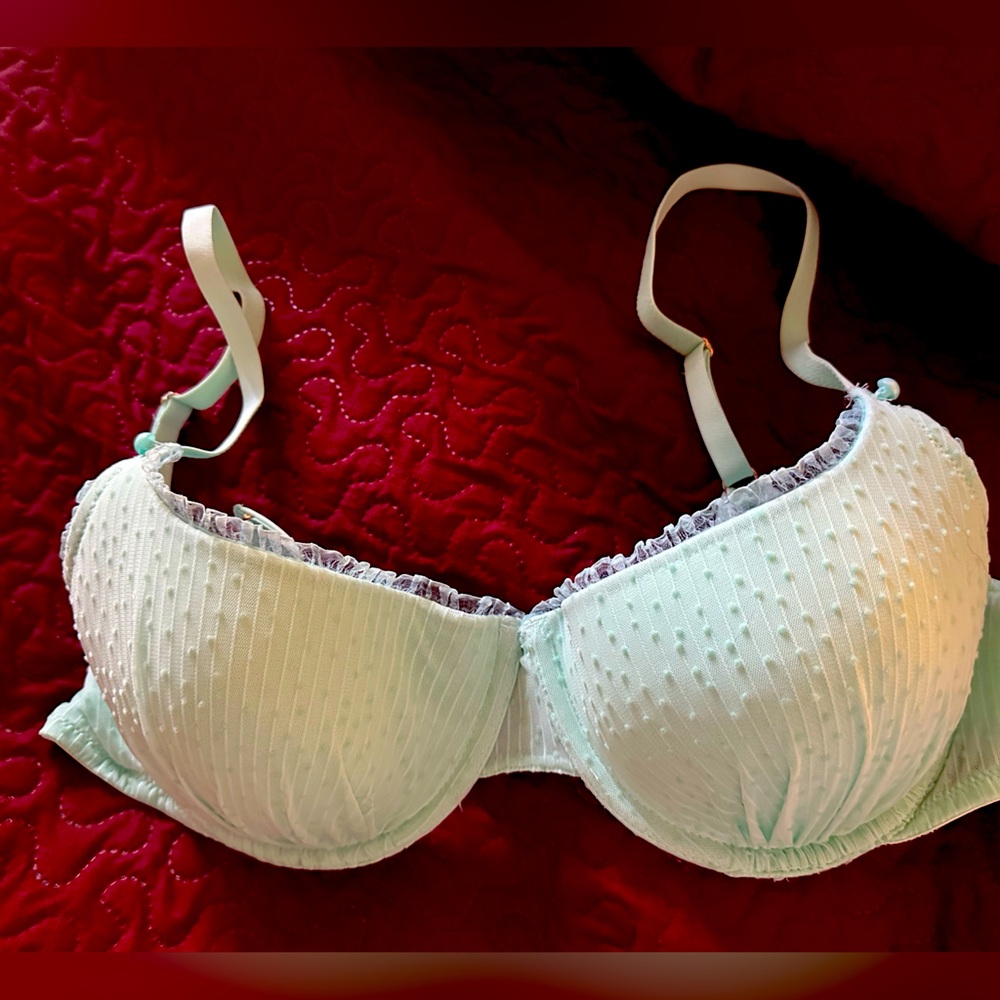 New Savage X Bra 38C